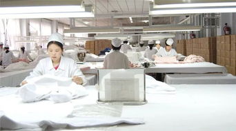 质量之责 服装厂管理，岂能只让员工“背锅”？