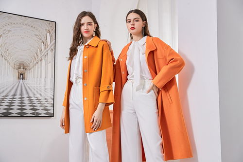 艾丽哲女装加盟前景与实力解析 携手环球社，共创财富未来